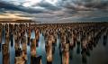 696 - OLD PIER - MACKOJC MARK - australia